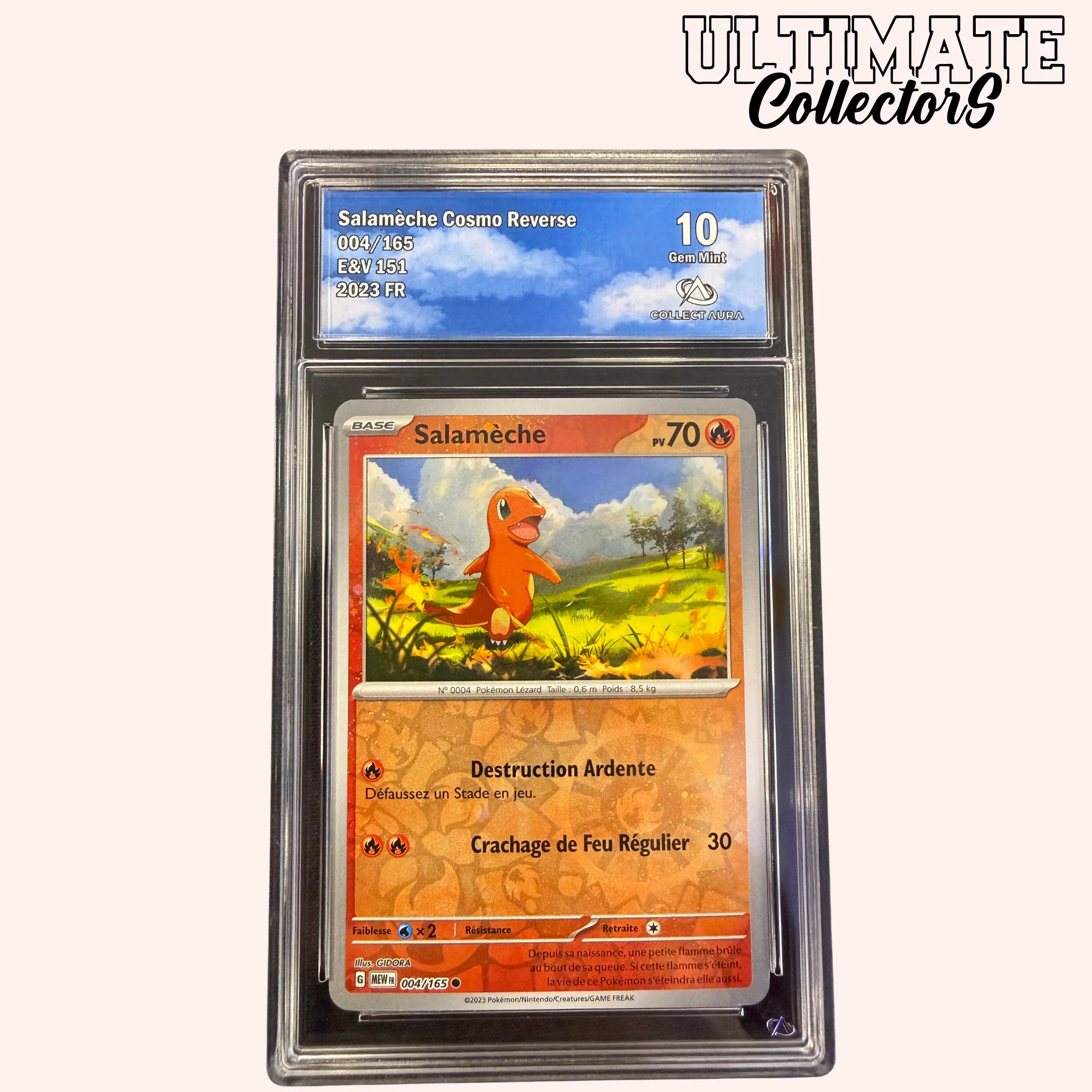 Miniature 1